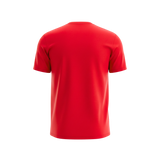 CAMISETA REGULAR FIT TELA PESADA 230GR